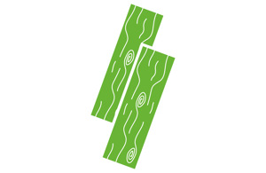 ICONS RCA - hout.png