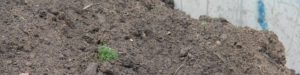 Compost-grond-kopen-alkmaar